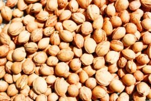 noyau-chauffage-pellet