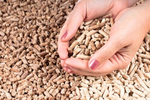 pellet-hiver-dernier